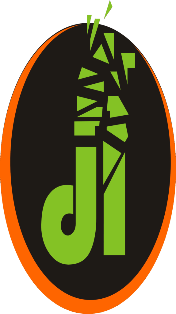 data innovations naija logo